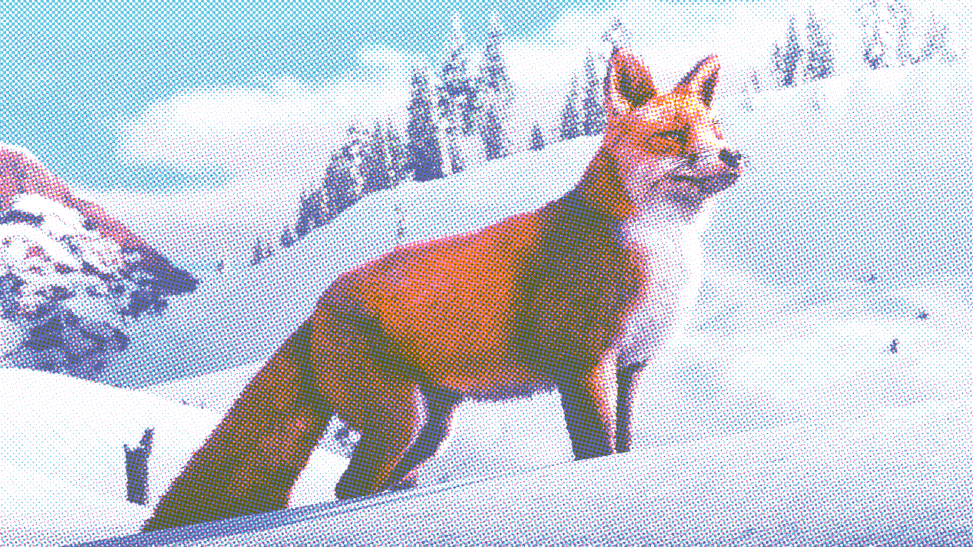 The Monthly Roundup: Seasons